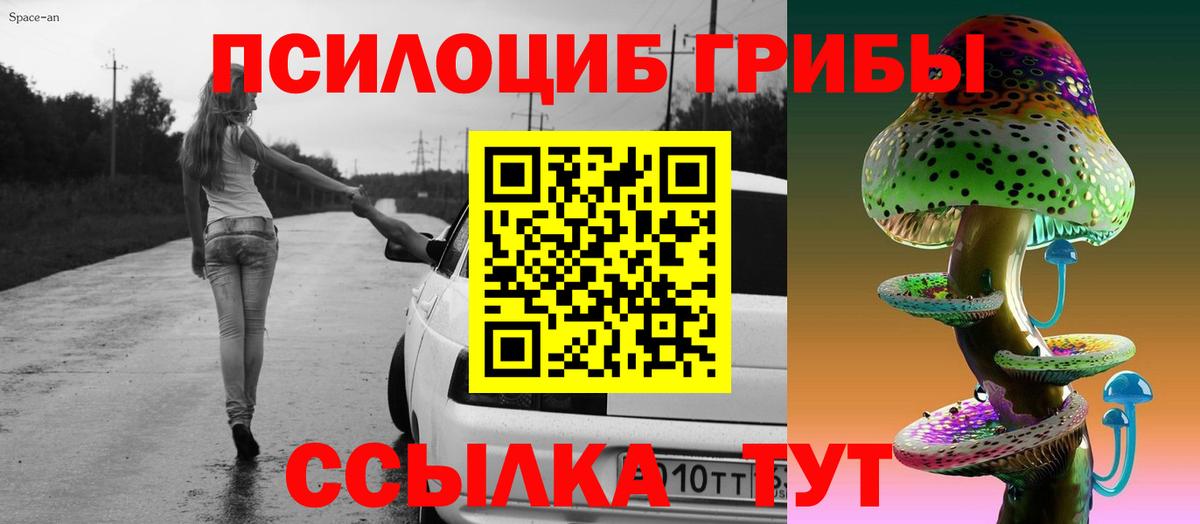 Псилоцибиновые грибы GOLDEN TEACHER Гагарин
